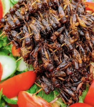 Dế chiên nước mắm